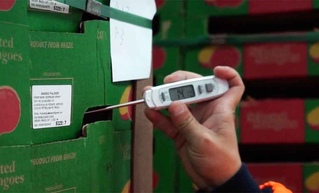 Cómo garantizar la cadena de frío en el transporte de mercancías