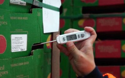 Cómo garantizar la cadena de frío en el transporte de mercancías